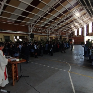 Celebración Domingo de Ramos